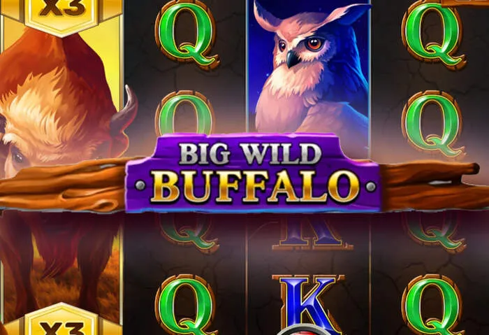 Big jackpot winner on Maestro Casino Login Guide: Access Your Account and Play.